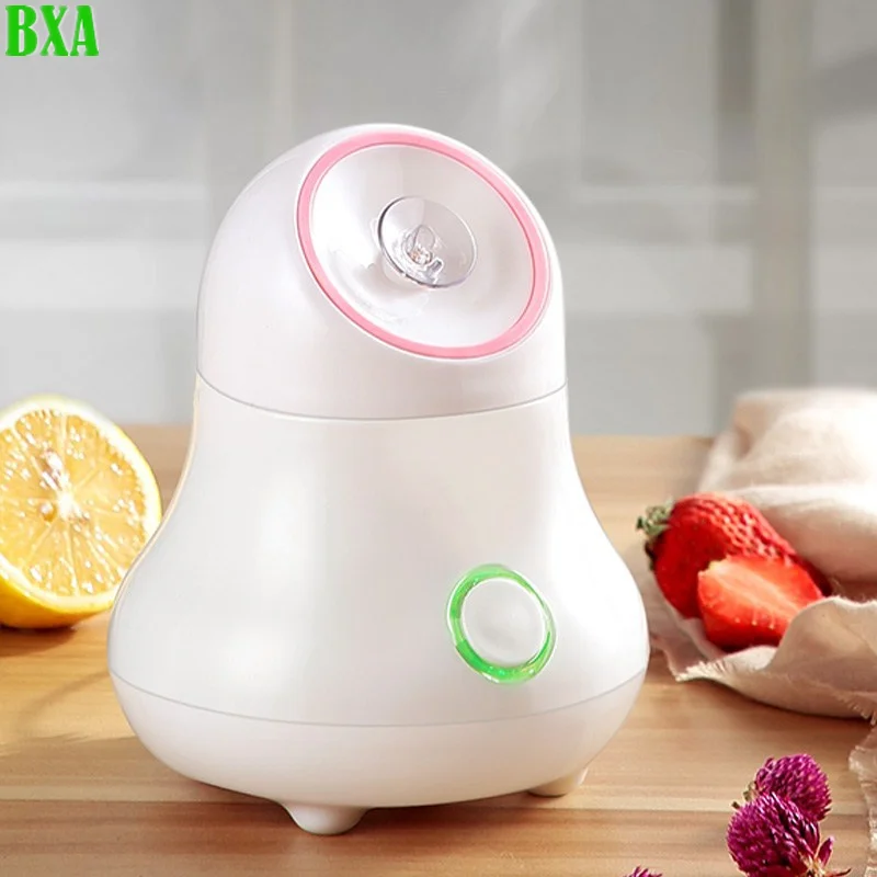 باخرة الوجه الفواكه والخضروات  - مراجعة Facial Steamer Nano وسعره